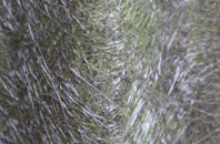 East Kimber fibreglass roof work